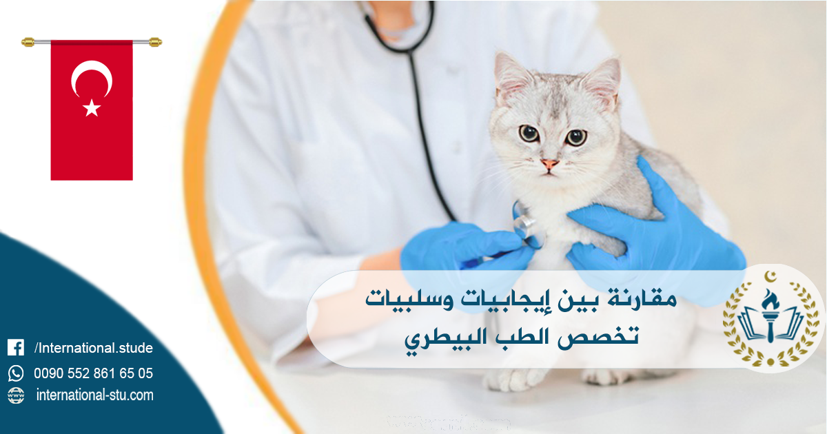 مقارنة بين إيجابيات وسلبيات تخصص الطب البيطري