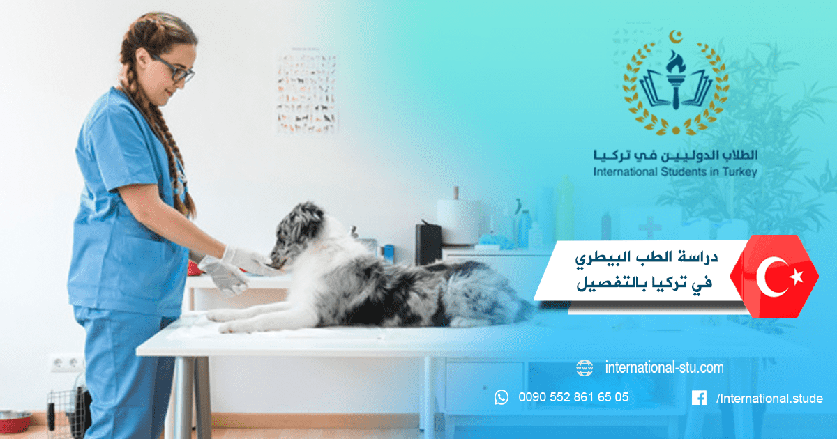 دراسة الطب البيطري في تركيا بالتفصيل