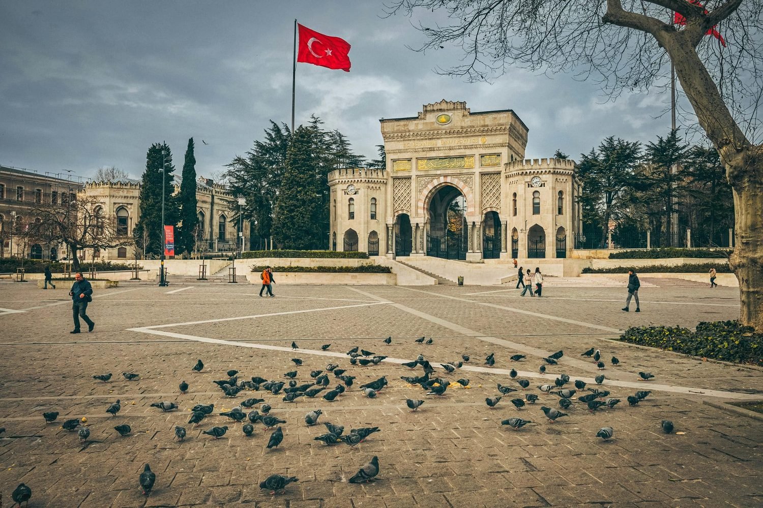 الدراسة باللغة الانجليزية